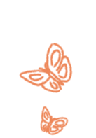 butterflies_loopx2